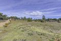 Property photo of 315 Gwandalan Road Sloping Main TAS 7186