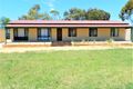 Property photo of 151 Battams Road Moorook SA 5332
