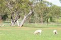 Property photo of 2039 Coonabarabran Road Caroona NSW 2343