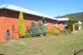 Property photo of 834 Ironcliffe Road Penguin TAS 7316