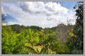 Property photo of 53 Crescent Road Eumundi QLD 4562