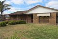 Property photo of 12 Jackling Drive Lavington NSW 2641