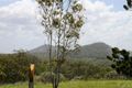 Property photo of 248 Newby Road Bondoola QLD 4703