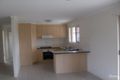 Property photo of 12 Joselyn Drive Point Vernon QLD 4655