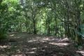 Property photo of 16 Mason Road Kuranda QLD 4881