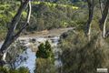 Property photo of 55 Buckley Falls Road Highton VIC 3216