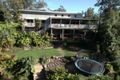 Property photo of 6 Pacey Street Eumundi QLD 4562