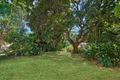 Property photo of 53 Behan Street Stratford QLD 4870