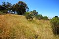 Property photo of 36 Kingfisher Drive Diamond Creek VIC 3089