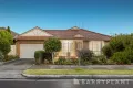 Property photo of 1/81 Alexandra Street Greensborough VIC 3088