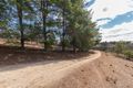 Property photo of 1799 Icely Road Lewis Ponds NSW 2800