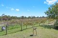 Property photo of 274 Spring Creek Road Greenlands QLD 4380