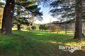 Property photo of 4 Ogilvy Road Clematis VIC 3782