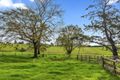 Property photo of 409 Tyringham Road Dorrigo NSW 2453