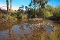 Property photo of 153 Lollara Road Ranelagh TAS 7109