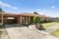 Property photo of 39 Pardalote Avenue Carrum Downs VIC 3201