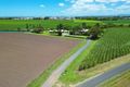 Property photo of 90 Meadowlands Road Racecourse QLD 4740