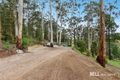 Property photo of 140 Beenak Road Gembrook VIC 3783