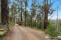 Property photo of 140 Beenak Road Gembrook VIC 3783