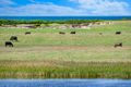 Property photo of 8105 Princes Highway Narrawong VIC 3285
