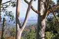 Property photo of 12 Mofflin Avenue Darlington WA 6070