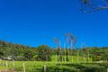 Property photo of 260 Dingo Lane Myocum NSW 2481