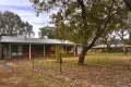 Property photo of 3 Wilga Avenue Oakey QLD 4401