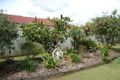 Property photo of 13 Peterlyn Court Beerwah QLD 4519