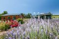 Property photo of 56 Park Street Cradoc TAS 7109