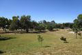 Property photo of 9 Brennand Road Dongara WA 6525