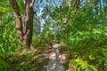 Property photo of 80 Melaleuca Road Howard Springs NT 0835