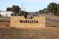 Property photo of 12562 Gwydir Highway Warialda NSW 2402