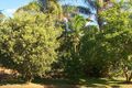 Property photo of 19 Spurs Drive Wellington Point QLD 4160