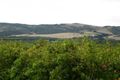 Property photo of 3601 Main South Road Sellicks Hill SA 5174