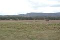 Property photo of 77 Parsons Road Coondoo QLD 4570