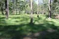 Property photo of 4211-4219 Mount Lindesay Highway Munruben QLD 4125