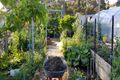 Property photo of 89 Wallace Road Cygnet TAS 7112