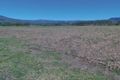 Property photo of 18 Stone River Road Trebonne QLD 4850