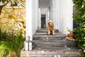 Property photo of 39 Hendy Avenue South Coogee NSW 2034