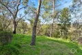 Property photo of 46 Sycamore Crescent Hawthorndene SA 5051