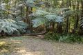 Property photo of 7 Ringtail Road Stokers Siding NSW 2484