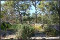 Property photo of 53-61 Vonda Youngman Drive Tamborine QLD 4270