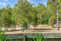 Property photo of 51 Copmanhurst Place Sumner QLD 4074