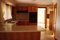 Property photo of 8 She Oak Grove Narellan Vale NSW 2567