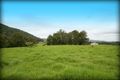 Property photo of 596 Littles Loop Road Upper Rollands Plains NSW 2441