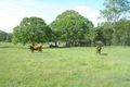 Property photo of 55 Beelbi Creek Road Beelbi Creek QLD 4659