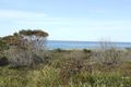 Property photo of 24175 Tasman Highway Beaumaris TAS 7215