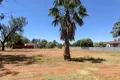 Property photo of 61 Molong Street Condobolin NSW 2877