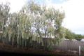 Property photo of 134 Perry Barr Road Hallett Cove SA 5158