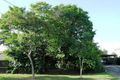 Property photo of 11 Waters Street Waterford West QLD 4133